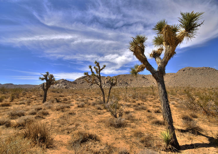 Palm Springs Itinerarios sugeridos